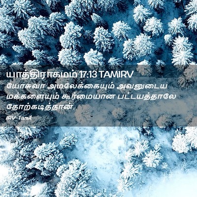 Picture 02 - யாத்திராகமம் 17:13 TAMIRV - யோசுவா - Bible Verse Picture
