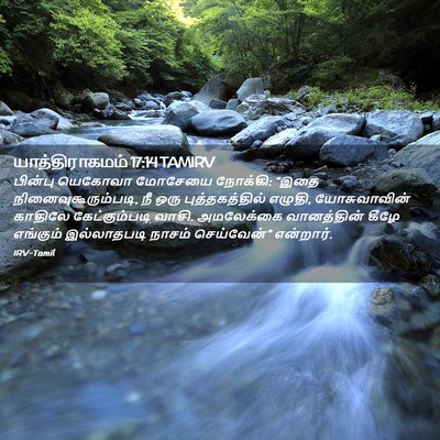 Picture 02 - யாத்திராகமம் 17:14 TAMIRV - பின்பு யெகோவா - Bible Verse Picture