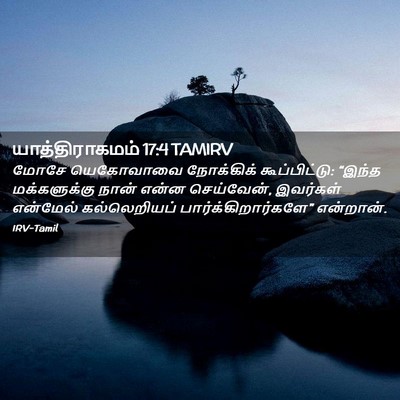 Picture 02 - யாத்திராகமம் 17:4 TAMIRV - மோசே யெகோவாவை - Bible Verse Picture