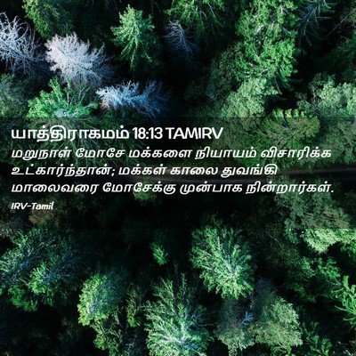 Picture 02 - யாத்திராகமம் 18:13 TAMIRV - மறுநாள் மோசே - Bible Verse Picture