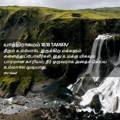 Picture 02 - யாத்திராகமம் 18:18 TAMIRV - நீரும் உம்மோடே - Bible Verse Picture