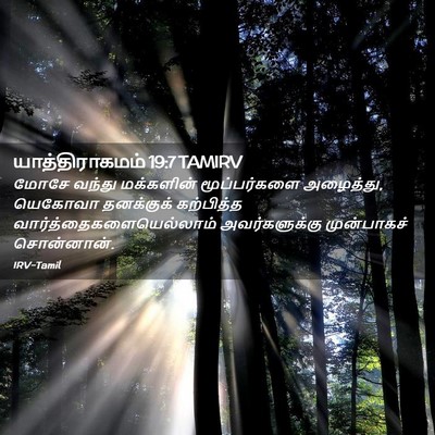 Picture 02 - யாத்திராகமம் 19:7 TAMIRV - மோசே வந்து - Bible Verse Picture