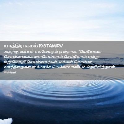 Picture 02 - யாத்திராகமம் 19:8 TAMIRV - அதற்கு மக்கள் - Bible Verse Picture