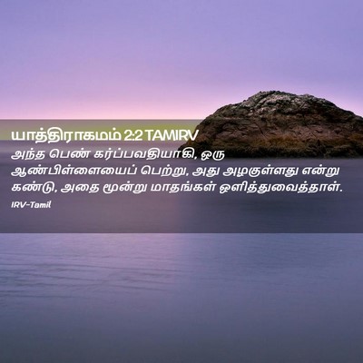 Picture 02 - யாத்திராகமம் 2:2 TAMIRV - அந்த பெண் - Bible Verse Picture