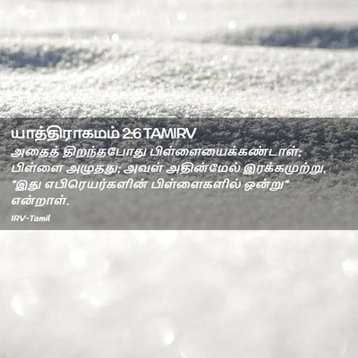 Picture 02 - யாத்திராகமம் 2:6 TAMIRV - அதைத் திறந்தபோது - Bible Verse Picture