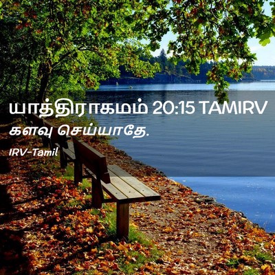 Picture 02 - யாத்திராகமம் 20:15 TAMIRV - களவு - Bible Verse Picture