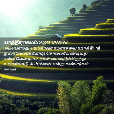Picture 02 - யாத்திராகமம் 20:22 TAMIRV - அப்பொழுது யெகோவா - Bible Verse Picture