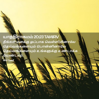 Picture 02 - யாத்திராகமம் 20:23 TAMIRV - நீங்கள் எனக்கு - Bible Verse Picture