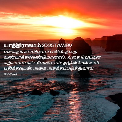 Picture 02 - யாத்திராகமம் 20:25 TAMIRV - எனக்குக் - Bible Verse Picture