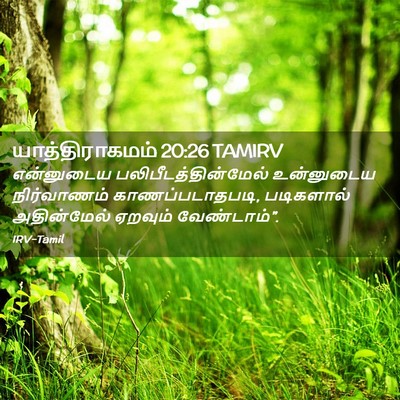 Picture 02 - யாத்திராகமம் 20:26 TAMIRV - என்னுடைய - Bible Verse Picture