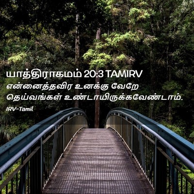 Picture 02 - யாத்திராகமம் 20:3 TAMIRV - என்னைத்தவிர - Bible Verse Picture