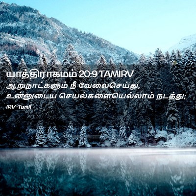 Picture 02 - யாத்திராகமம் 20:9 TAMIRV - ஆறுநாட்களும் நீ - Bible Verse Picture