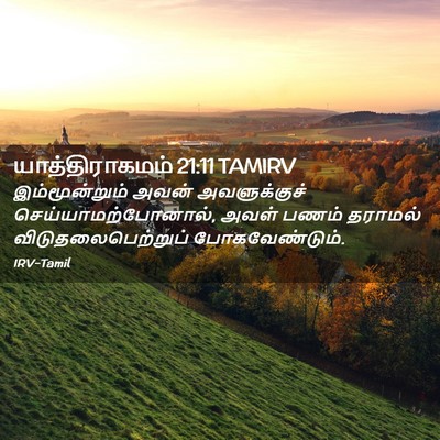 Picture 02 - யாத்திராகமம் 21:11 TAMIRV - இம்மூன்றும் அவன் - Bible Verse Picture