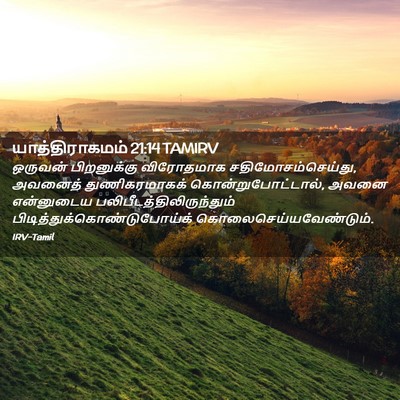 Picture 02 - யாத்திராகமம் 21:14 TAMIRV - ஒருவன் பிறனுக்கு - Bible Verse Picture