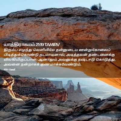 Picture 02 - யாத்திராகமம் 21:19 TAMIRV - திரும்ப எழுந்து - Bible Verse Picture