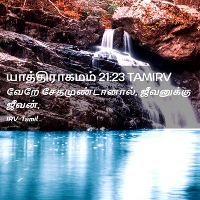 Picture 02 - யாத்திராகமம் 21:23 TAMIRV - வேறே - Bible Verse Picture