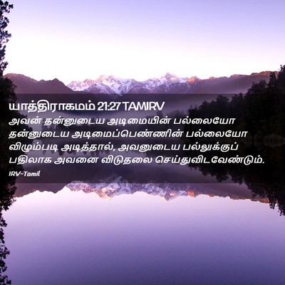 Picture 02 - யாத்திராகமம் 21:27 TAMIRV - அவன் தன்னுடைய - Bible Verse Picture