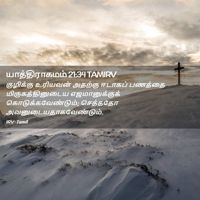 Picture 02 - யாத்திராகமம் 21:34 TAMIRV - குழிக்கு உரியவன் - Bible Verse Picture