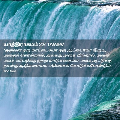 Picture 02 - யாத்திராகமம் 22:1 TAMIRV - “ஒருவன் ஒரு - Bible Verse Picture