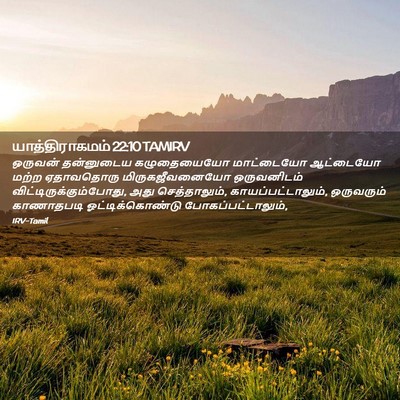 Picture 02 - யாத்திராகமம் 22:10 TAMIRV - ஒருவன் தன்னுடைய - Bible Verse Picture