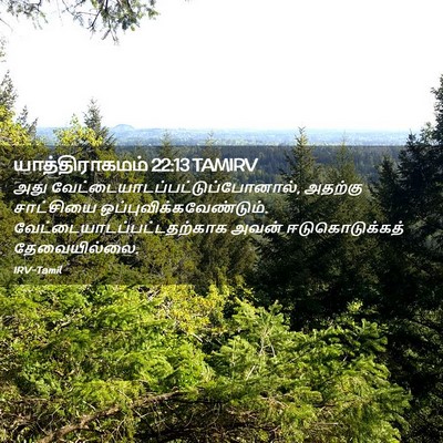 Picture 02 - யாத்திராகமம் 22:13 TAMIRV - அது - Bible Verse Picture