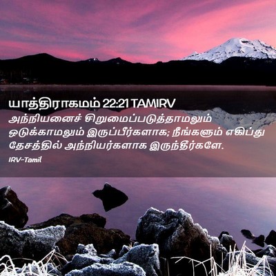Picture 02 - யாத்திராகமம் 22:21 TAMIRV - அந்நியனைச் - Bible Verse Picture