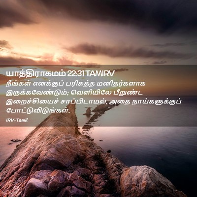 Picture 02 - யாத்திராகமம் 22:31 TAMIRV - நீங்கள் எனக்குப் - Bible Verse Picture