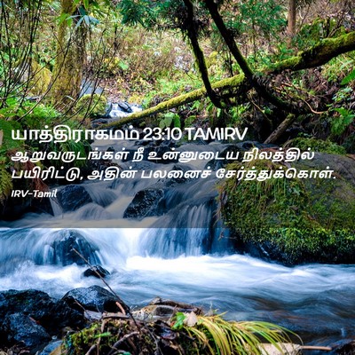 Picture 02 - யாத்திராகமம் 23:10 TAMIRV - ஆறுவருடங்கள் நீ - Bible Verse Picture