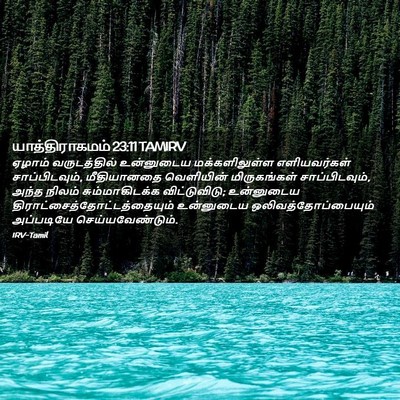 Picture 02 - யாத்திராகமம் 23:11 TAMIRV - ஏழாம் வருடத்தில் - Bible Verse Picture