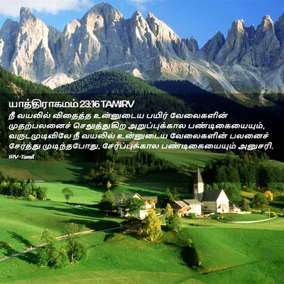 Picture 02 - யாத்திராகமம் 23:16 TAMIRV - நீ வயலில் விதைத்த - Bible Verse Picture