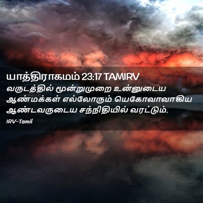Picture 02 - யாத்திராகமம் 23:17 TAMIRV - வருடத்தில் - Bible Verse Picture