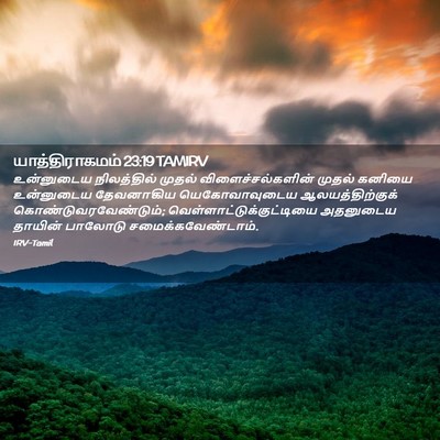 Picture 02 - யாத்திராகமம் 23:19 TAMIRV - உன்னுடைய - Bible Verse Picture