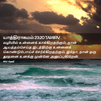 Picture 02 - யாத்திராகமம் 23:20 TAMIRV - வழியில் உன்னைக் - Bible Verse Picture