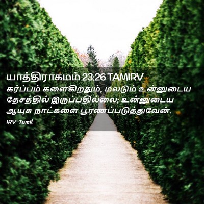 Picture 02 - யாத்திராகமம் 23:26 TAMIRV - கர்ப்பம் - Bible Verse Picture