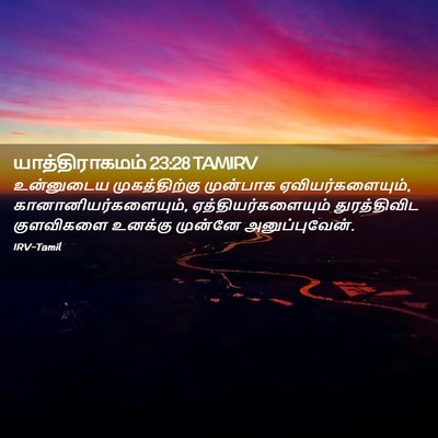 Picture 02 - யாத்திராகமம் 23:28 TAMIRV - உன்னுடைய - Bible Verse Picture