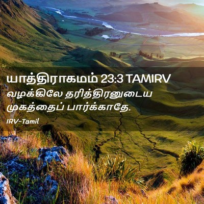 Picture 02 - யாத்திராகமம் 23:3 TAMIRV - வழக்கிலே - Bible Verse Picture