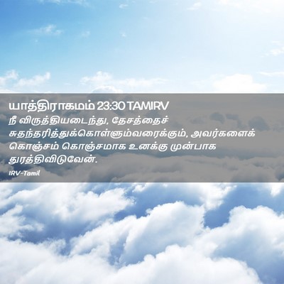 Picture 02 - யாத்திராகமம் 23:30 TAMIRV - நீ - Bible Verse Picture