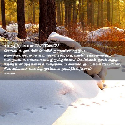 Picture 02 - யாத்திராகமம் 23:31 TAMIRV - செங்கடல் துவங்கி - Bible Verse Picture