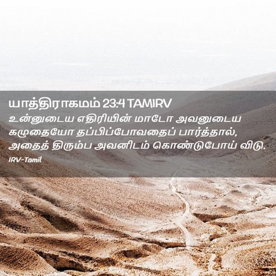 Picture 02 - யாத்திராகமம் 23:4 TAMIRV - உன்னுடைய - Bible Verse Picture