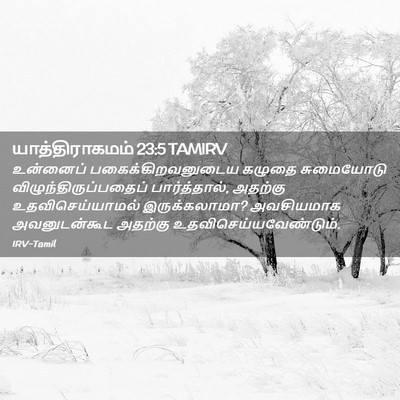 Picture 02 - யாத்திராகமம் 23:5 TAMIRV - உன்னைப் - Bible Verse Picture