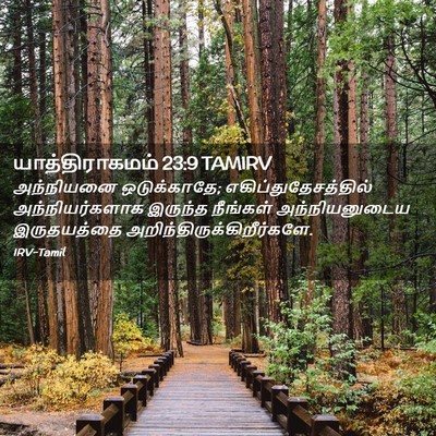 Picture 02 - யாத்திராகமம் 23:9 TAMIRV - அந்நியனை - Bible Verse Picture