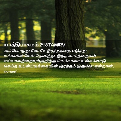 Picture 02 - யாத்திராகமம் 24:8 TAMIRV - அப்பொழுது மோசே - Bible Verse Picture