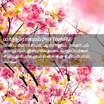 Picture 02 - யாத்திராகமம் 24:9 TAMIRV - பின்பு மோசேயும், - Bible Verse Picture