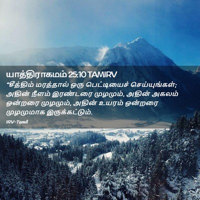 Picture 02 - யாத்திராகமம் 25:10 TAMIRV - “சீத்திம் - Bible Verse Picture