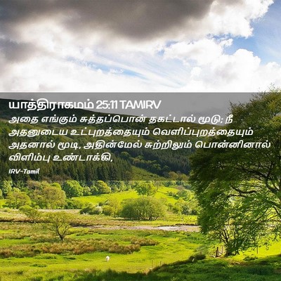 Picture 02 - யாத்திராகமம் 25:11 TAMIRV - அதை எங்கும் - Bible Verse Picture