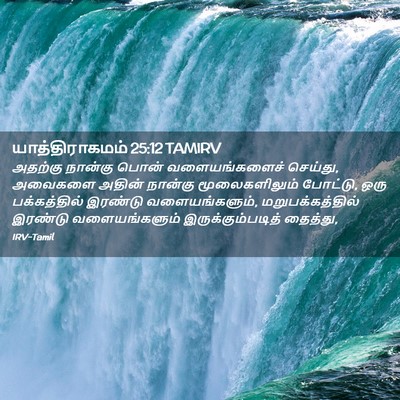 Picture 02 - யாத்திராகமம் 25:12 TAMIRV - அதற்கு நான்கு - Bible Verse Picture