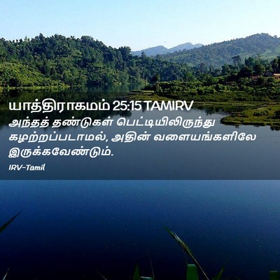Picture 02 - யாத்திராகமம் 25:15 TAMIRV - அந்தத் தண்டுகள் - Bible Verse Picture