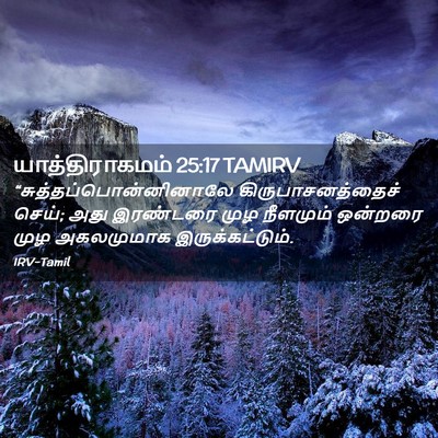Picture 02 - யாத்திராகமம் 25:17 TAMIRV -  - Bible Verse Picture