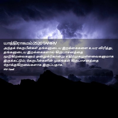 Picture 02 - யாத்திராகமம் 25:20 TAMIRV - அந்தக் - Bible Verse Picture