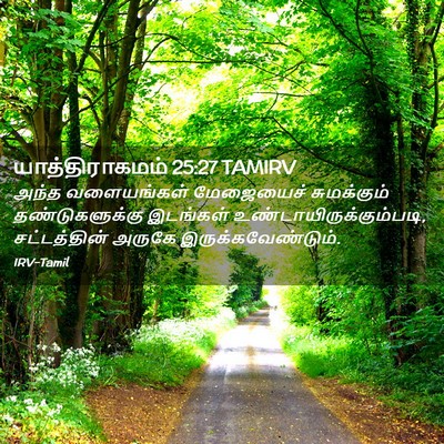 Picture 02 - யாத்திராகமம் 25:27 TAMIRV - அந்த வளையங்கள் - Bible Verse Picture
